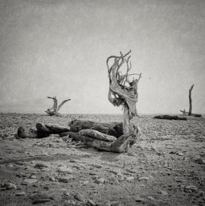 Jackie Ranken