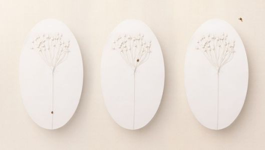 Jo Howell