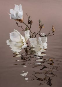 Catherine Cattanach