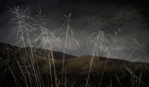 Sarah Smith
