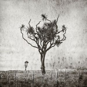 Jackie Ranken